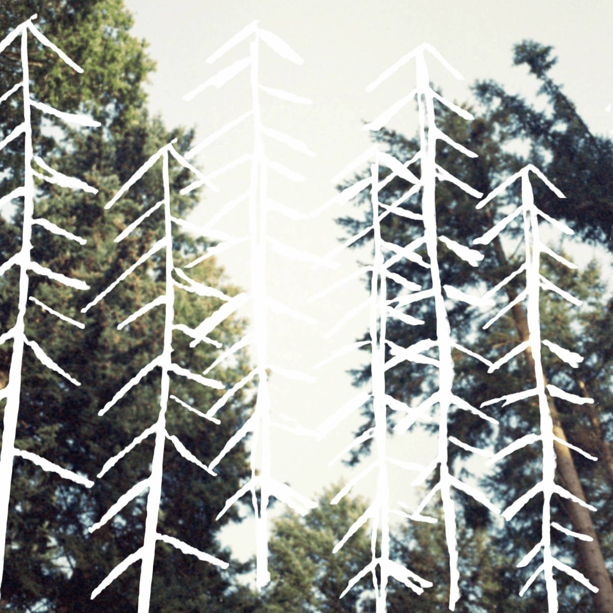 ‘coda’ by amateur theatre group: A dark&nbsp;delight