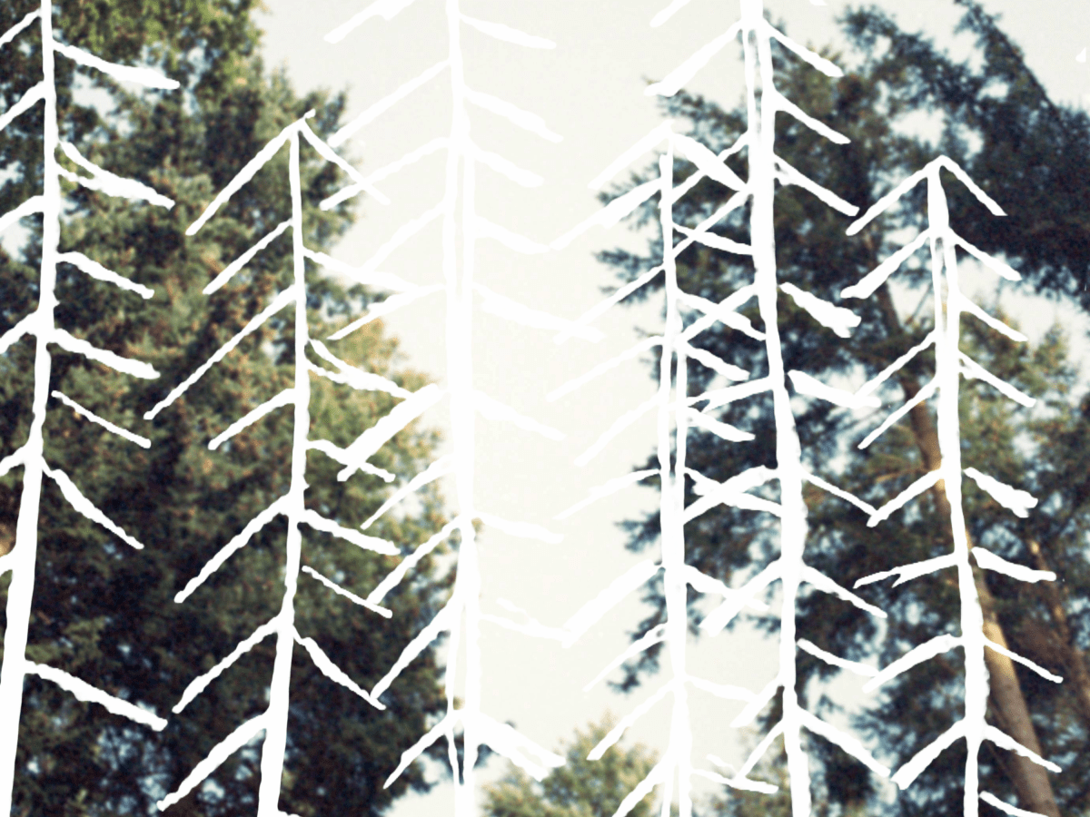 ‘coda’ by amateur theatre group: A dark&nbsp;delight