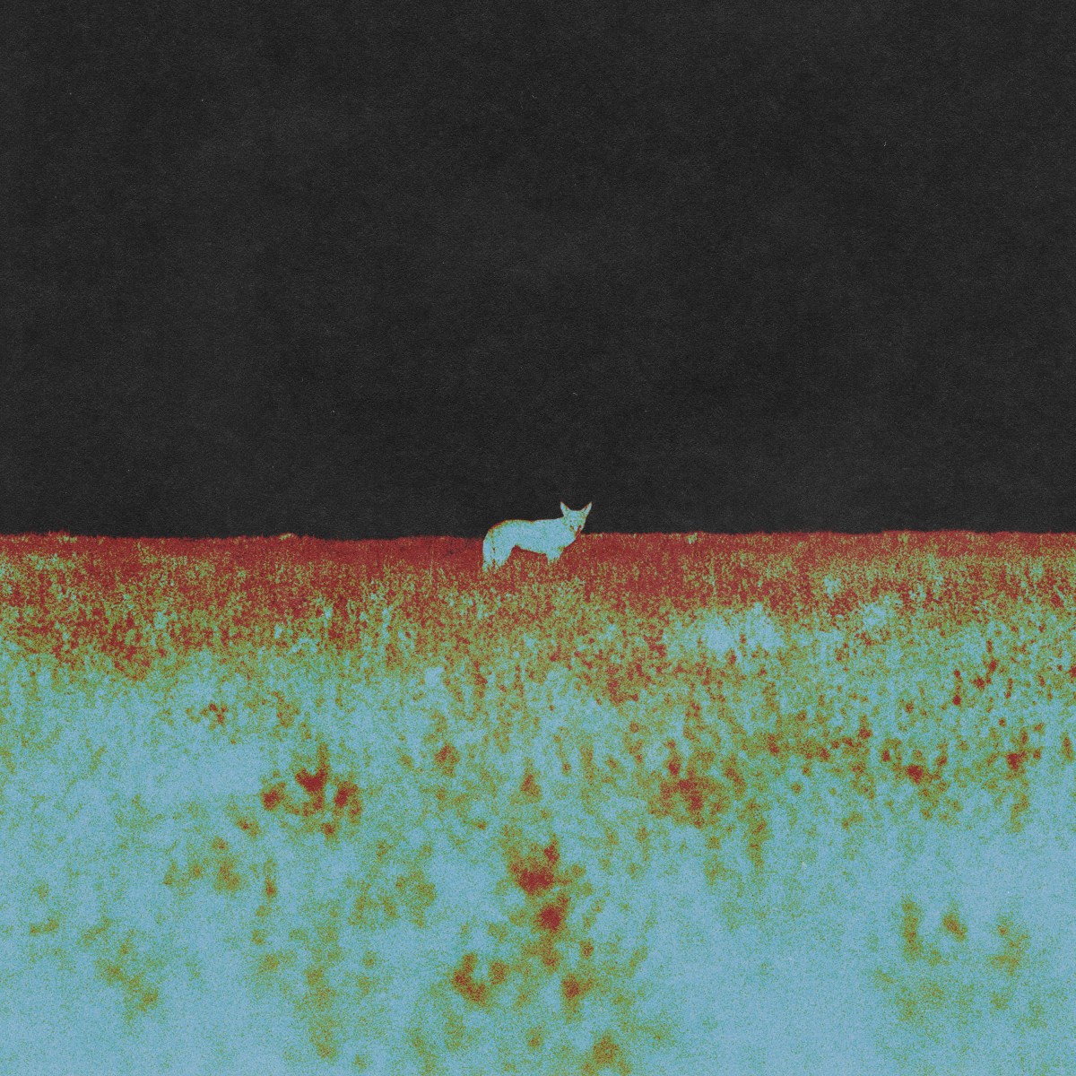 ‘Spectator’ by Friday Pilots Club: Has us hungry for coming debut&nbsp;album