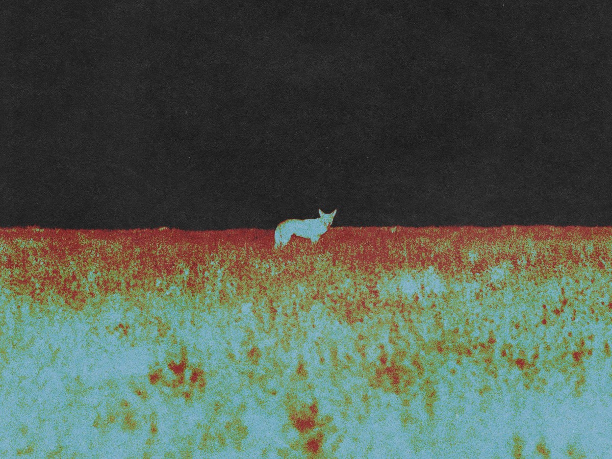 ‘Spectator’ by Friday Pilots Club: Has us hungry for coming debut&nbsp;album