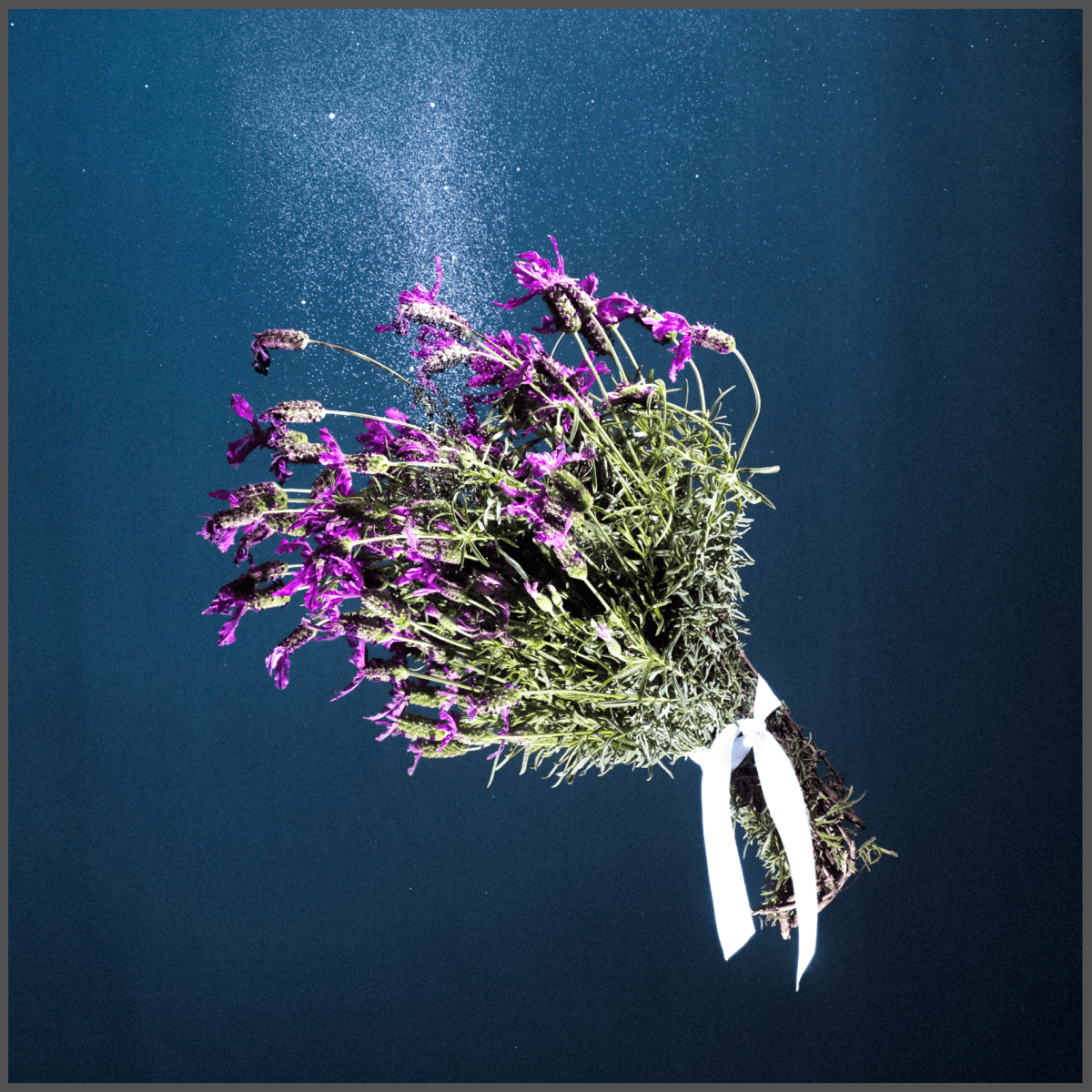 ‘in light’ by left at the avenue: explosive debut ep from down&nbsp;under