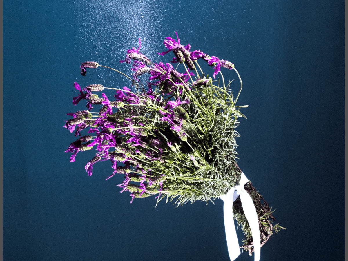 ‘in light’ by left at the avenue: explosive debut ep from down&nbsp;under